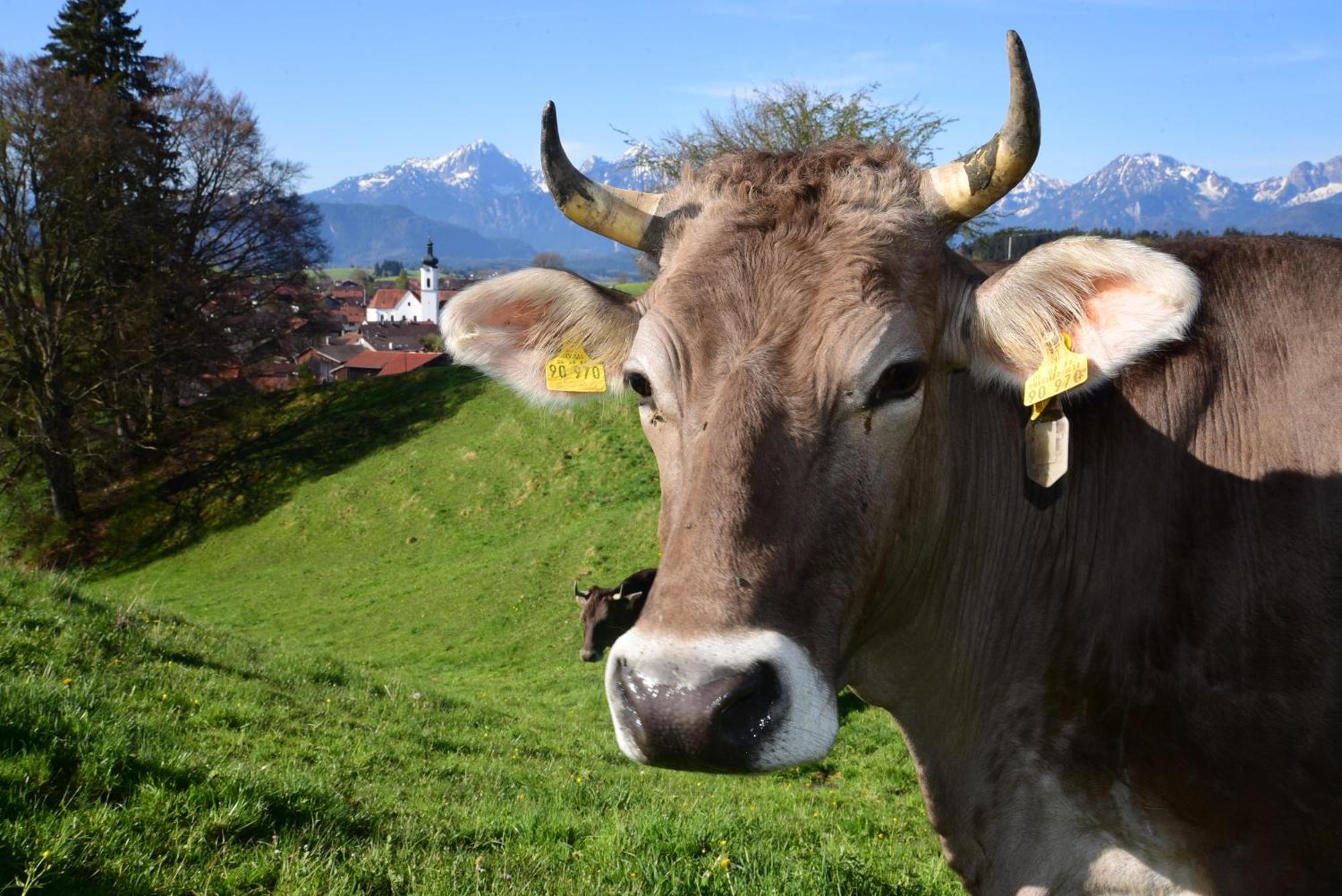 Hintere Schoene Rieden Buitenkant foto
