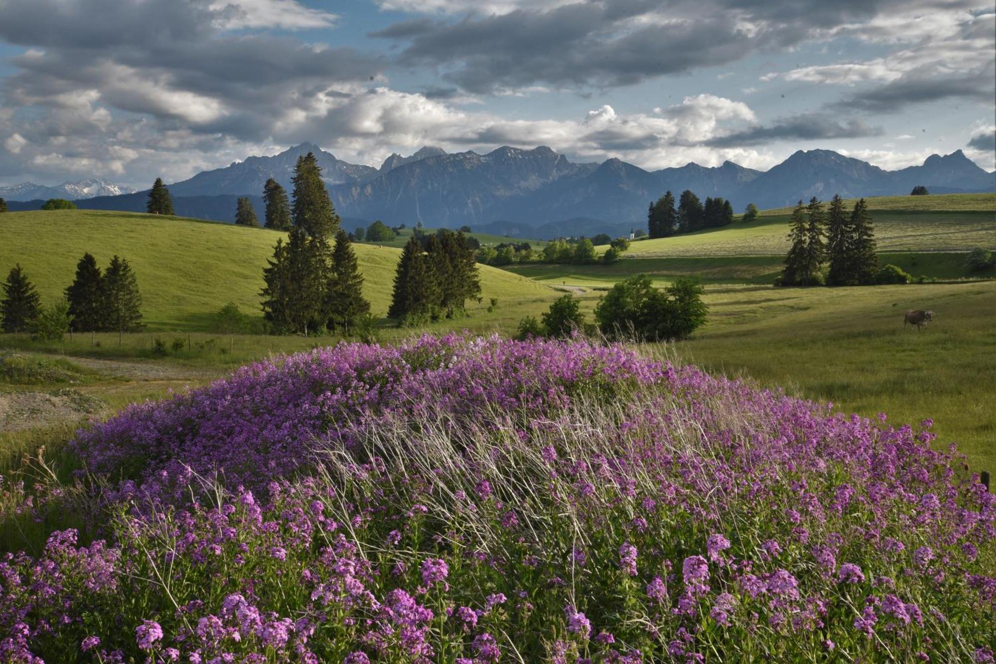 Hintere Schoene Rieden Buitenkant foto